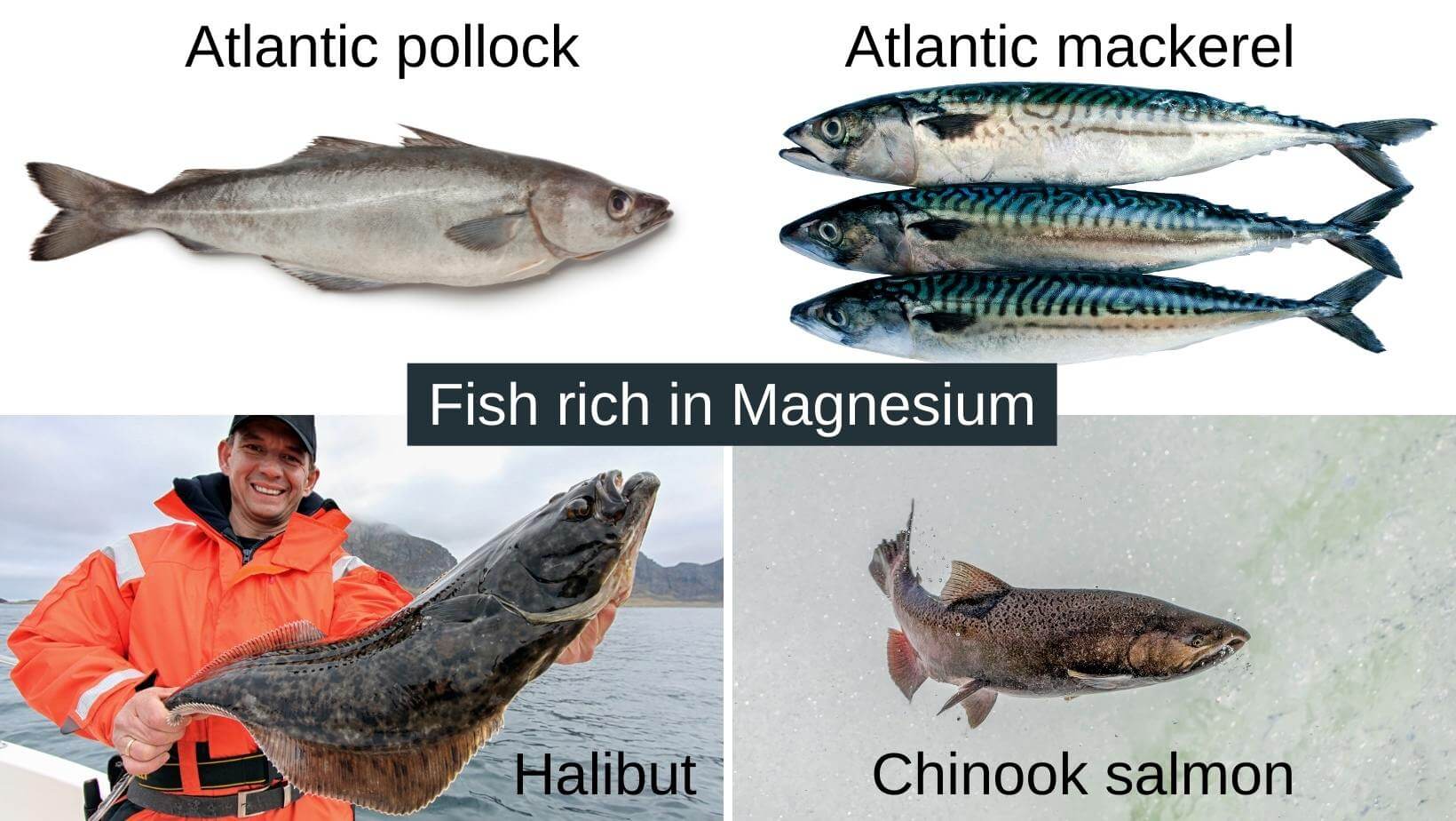Fish high in magnesium