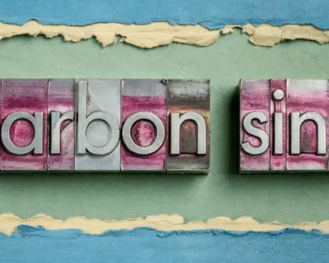 How Do Carbon Sinks Work - Carbon Sinks Facts