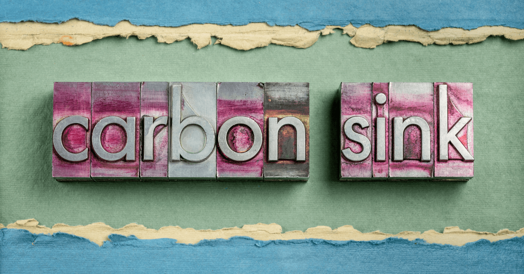 How Do Carbon Sinks Work - Carbon Sinks Facts