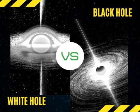 black hole vs White hole