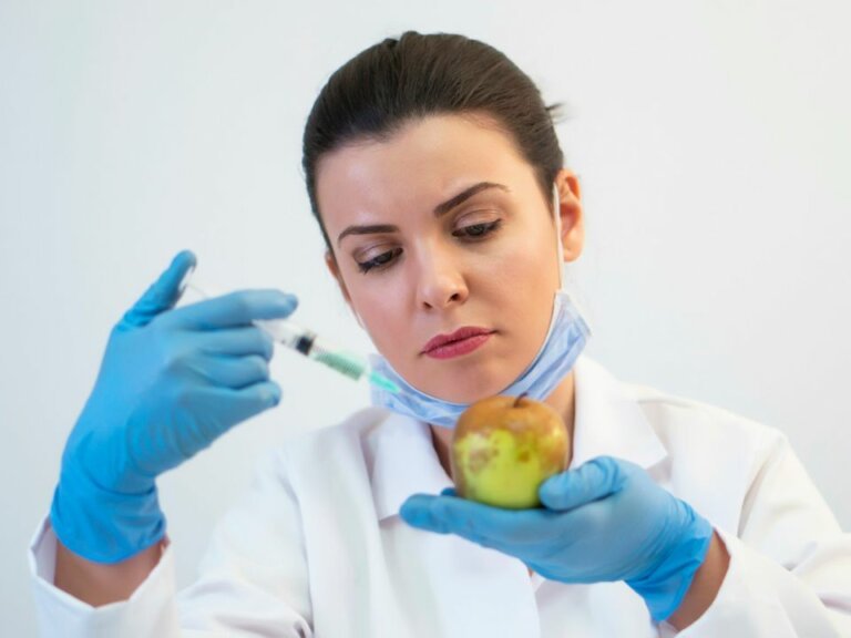 Are Modified Foods Good Are Modified Foods