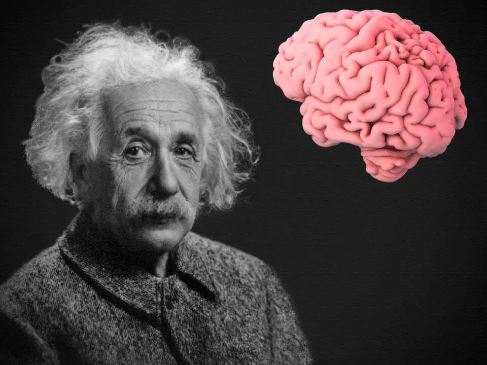 Einstein brain was stolen