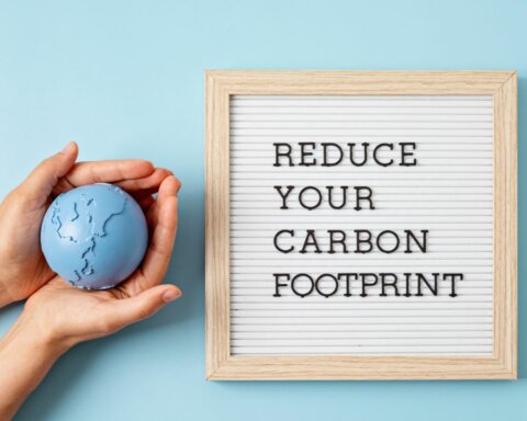 How I Can Reduce My Carbon Footprint?