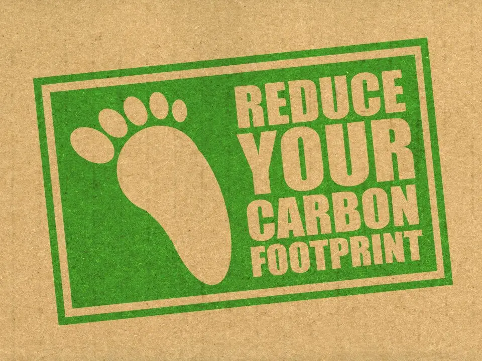 How I Can Reduce My Carbon Footprint