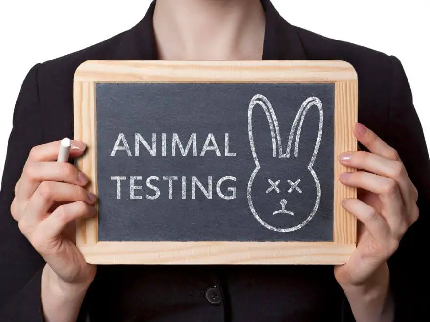 Is Animal Testing Ethical