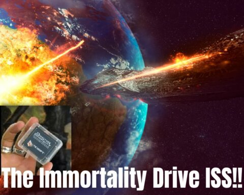 What is the Immortality Drive
