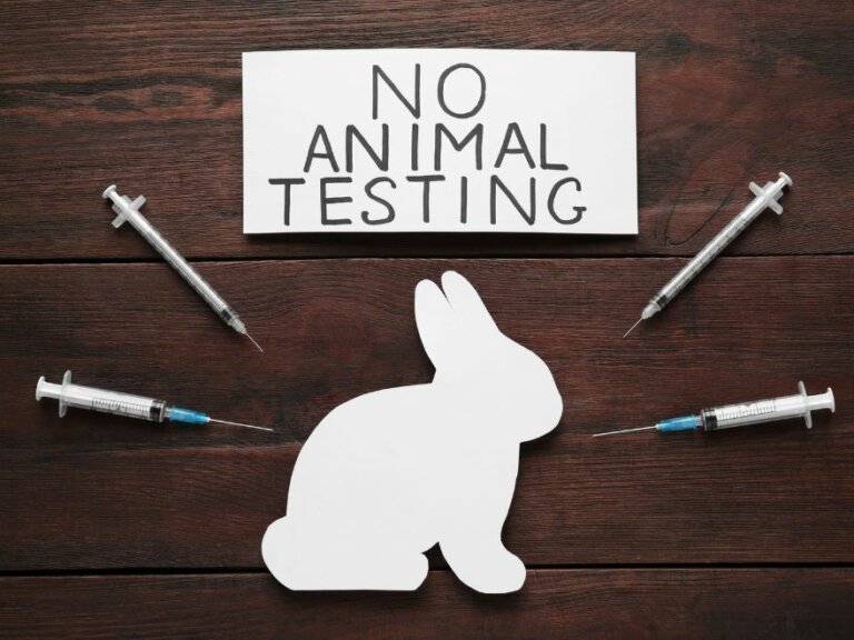Is Animal Testing Ethical What Are The Ethical Issues With Animal is-animal-testing-ethical-what-are-the-ethical-issues-with-animal