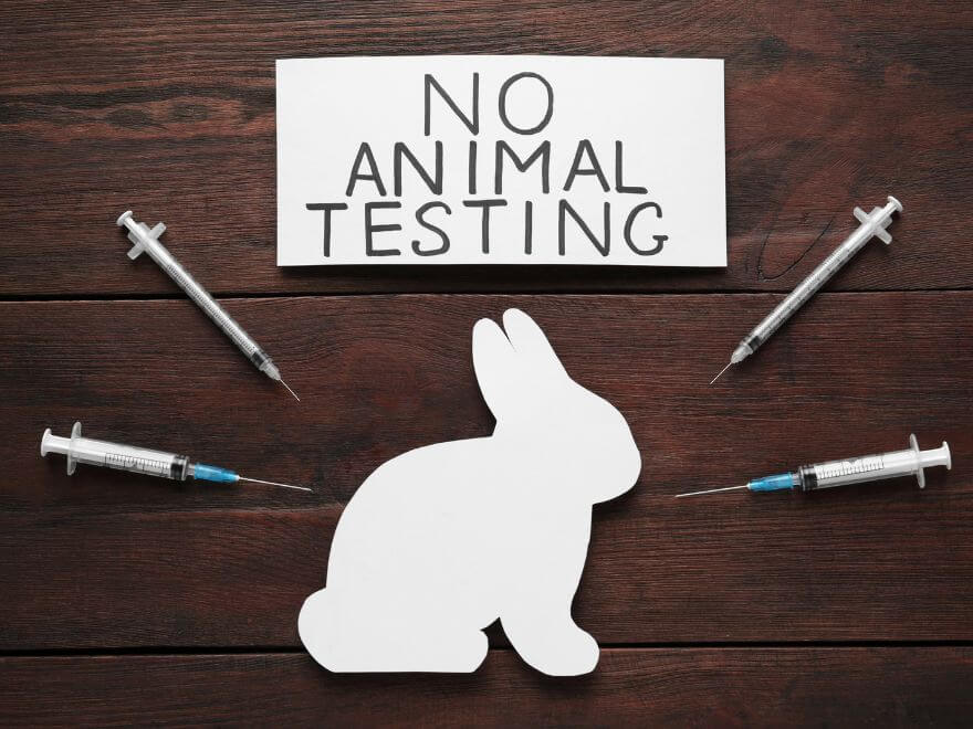 Why is animal testing unethical