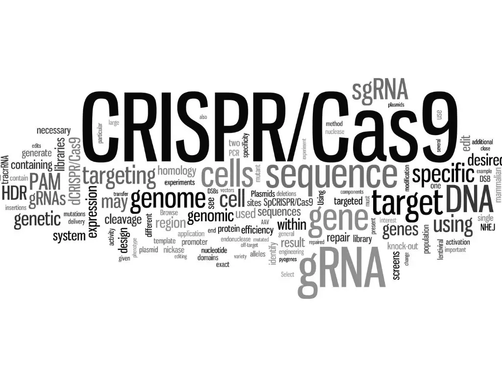 CRISPR Genetic Editing