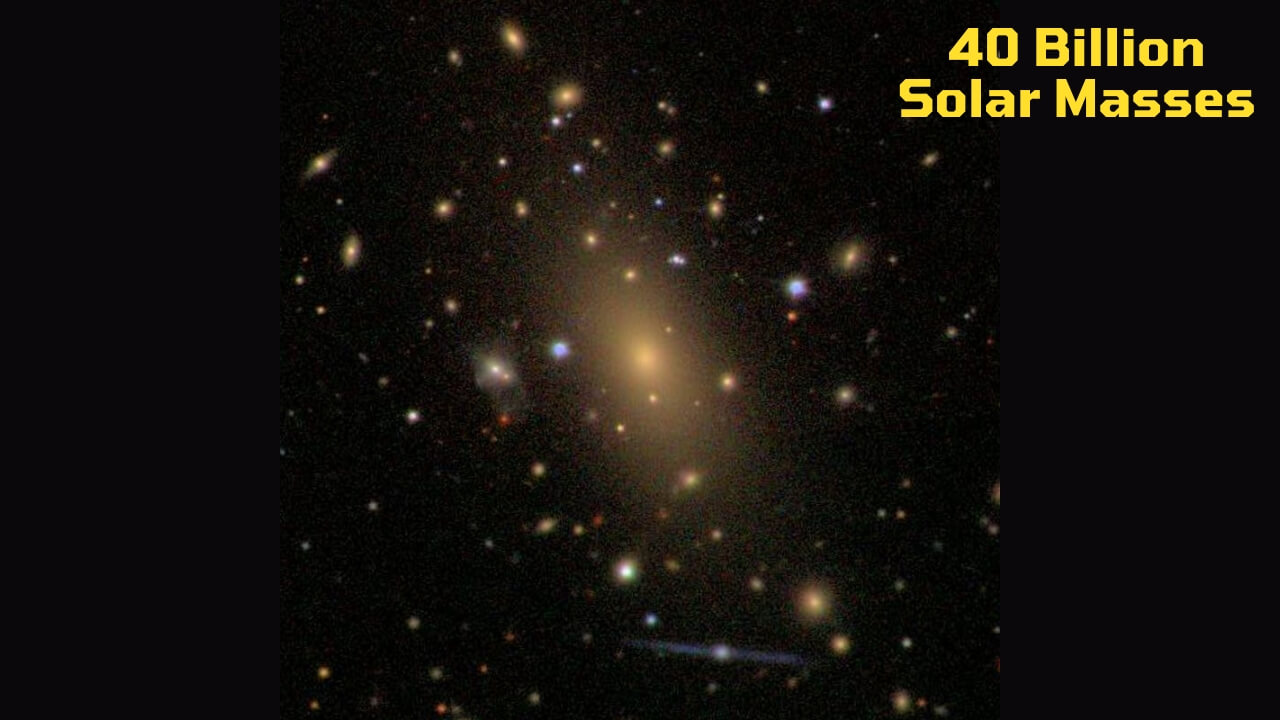 IC1101's Galaxy