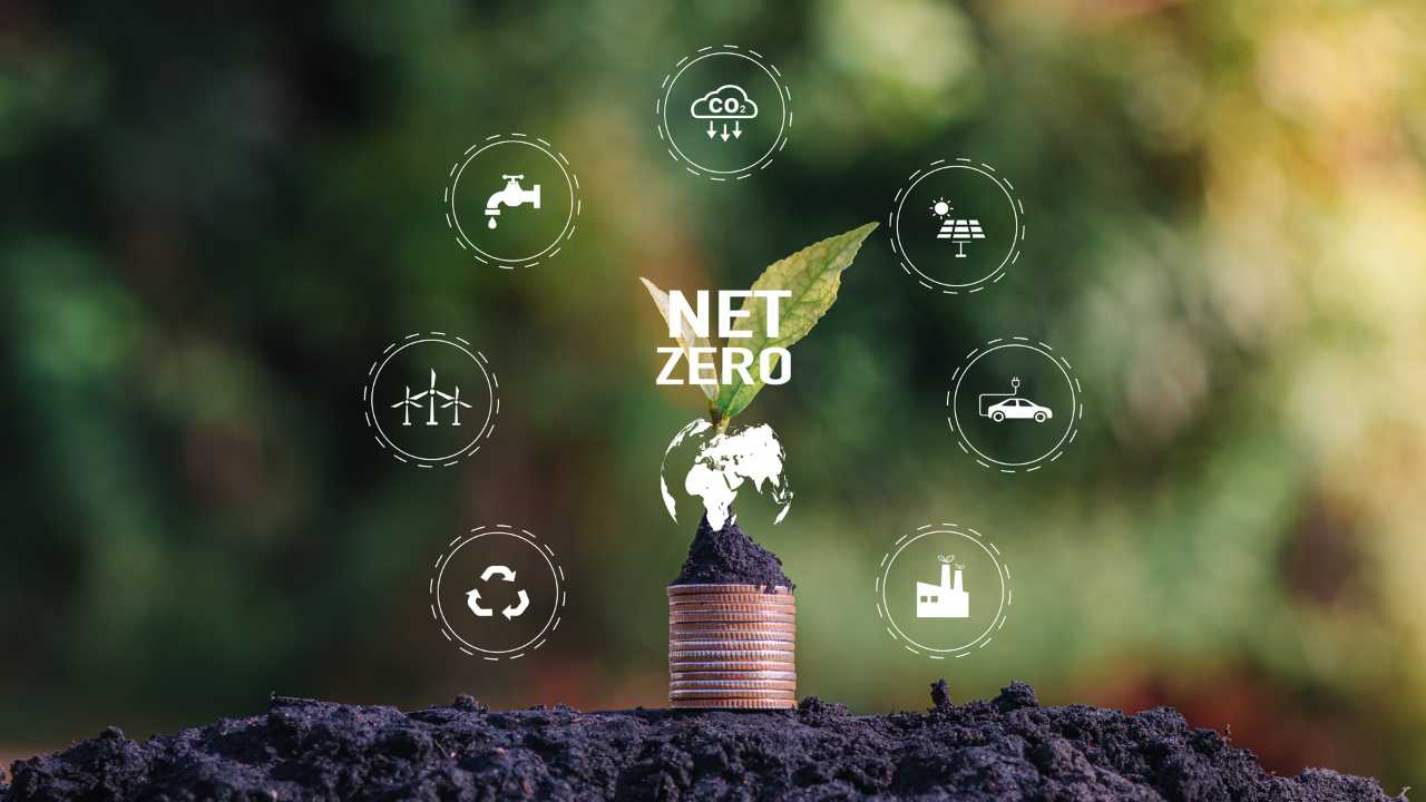 Net zero emission