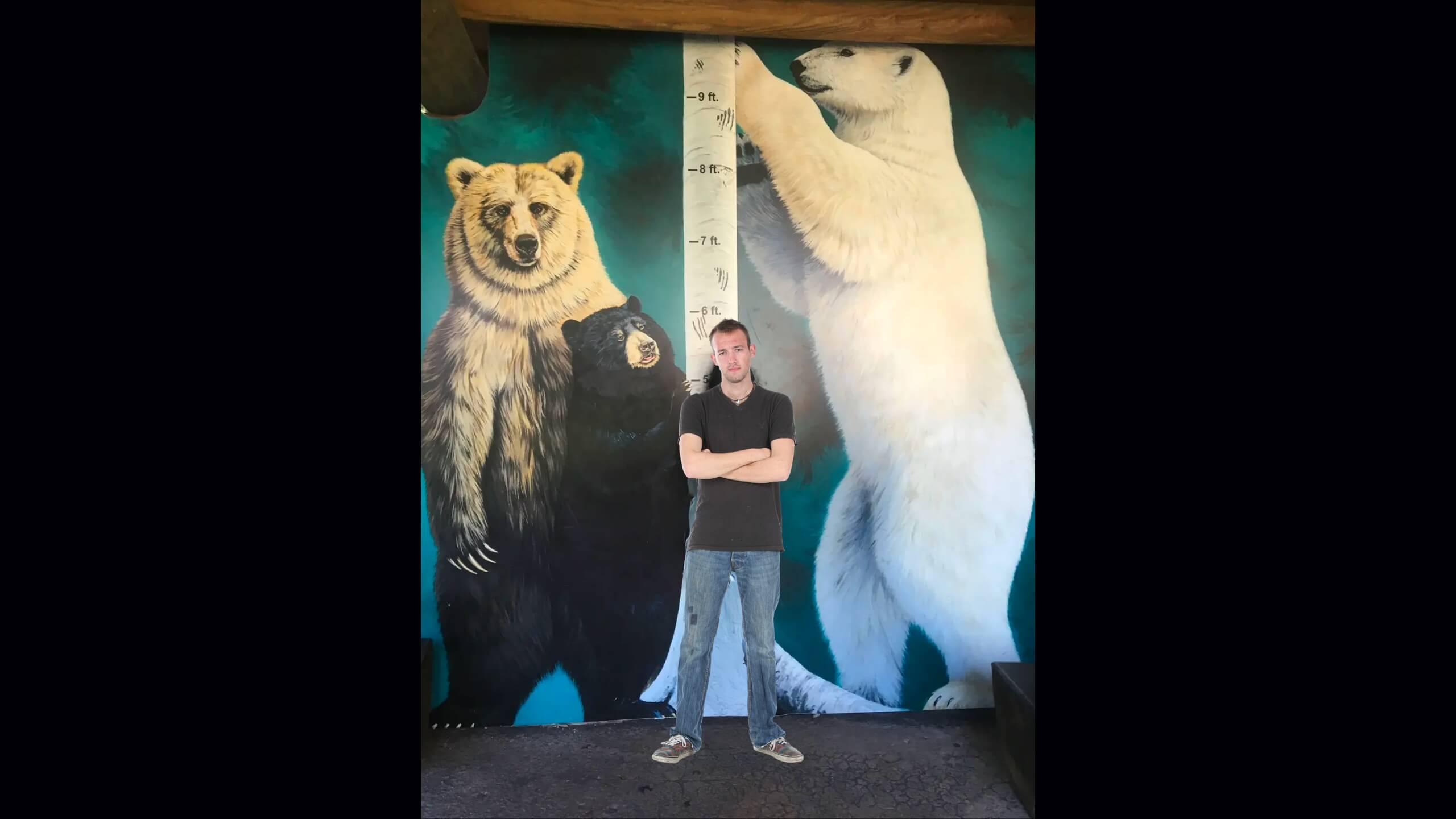 Polar Bear, Grizzly Bear and human height comparison