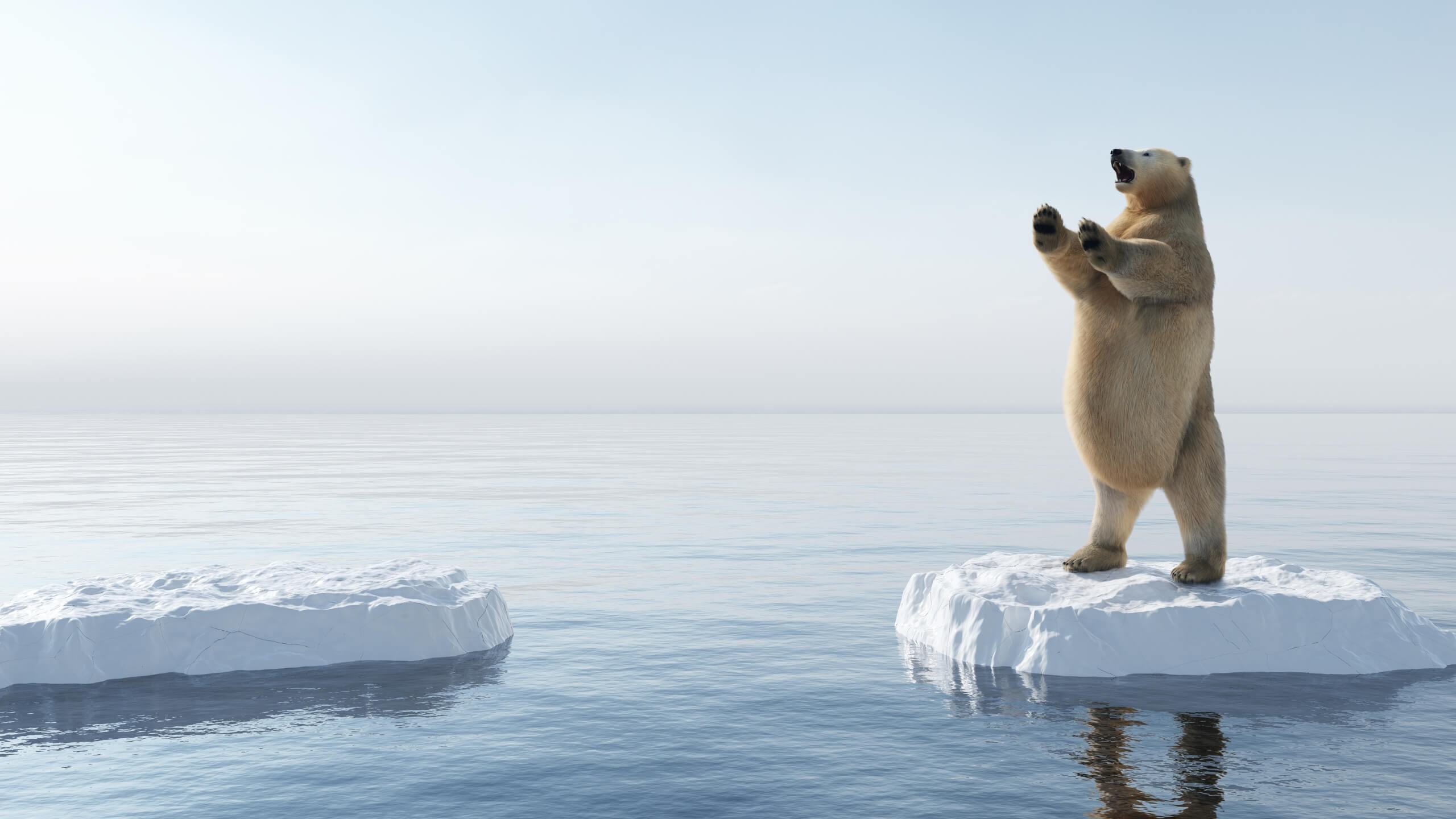 polar bear standing-art