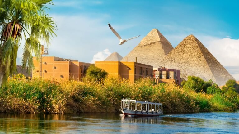 Why Were The Pyramids Of Giza Built? - History of the Pyramids - SciQuest