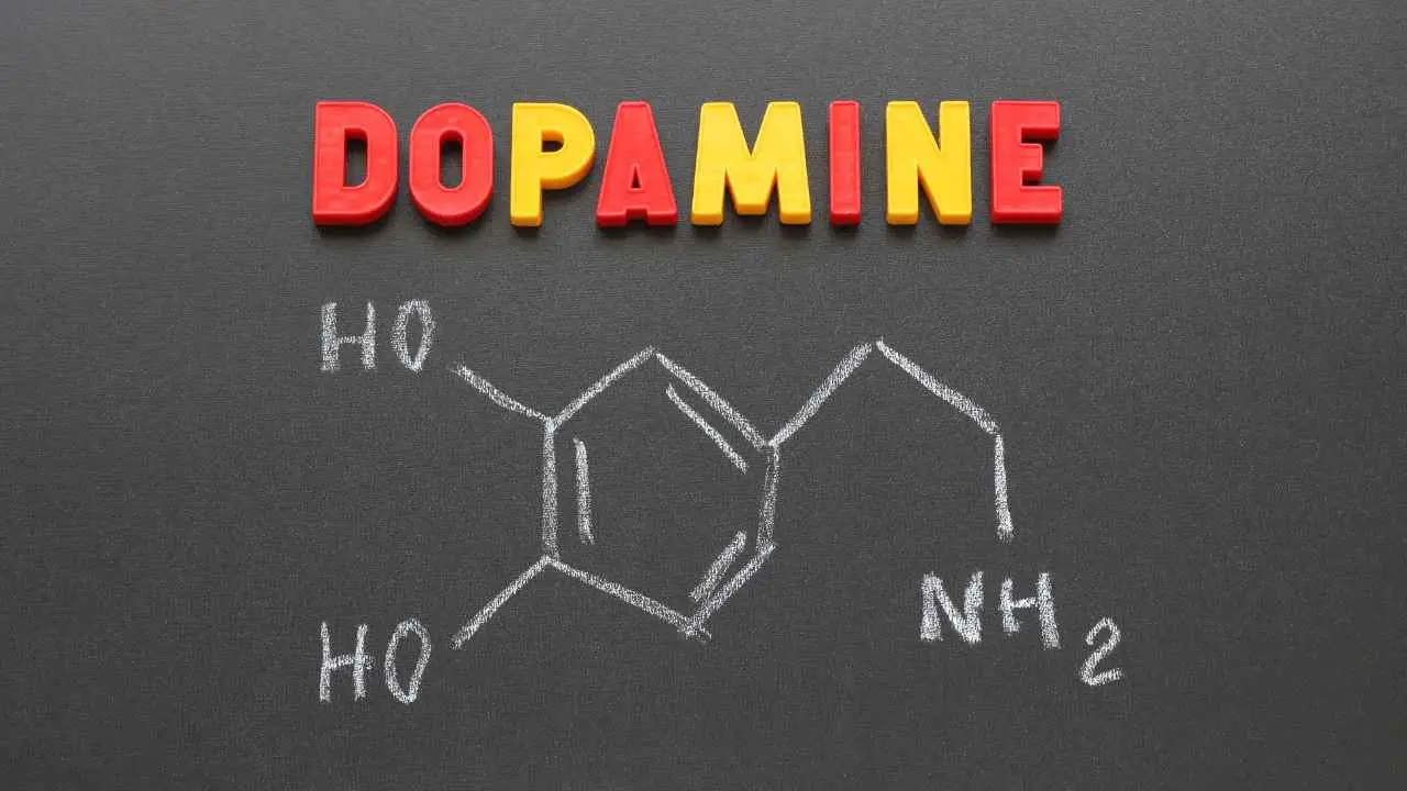Dopamine and formula