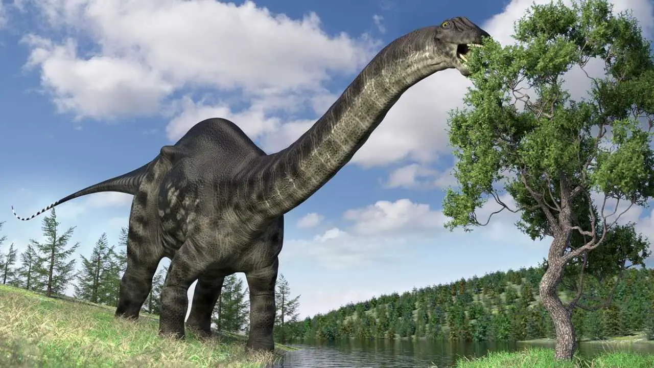 Brontosaurus Habitat