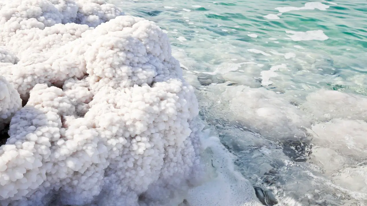 Salt of the Dead Sea