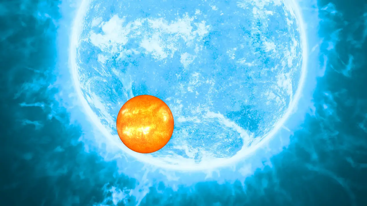 Largest Star Compared to the Sun