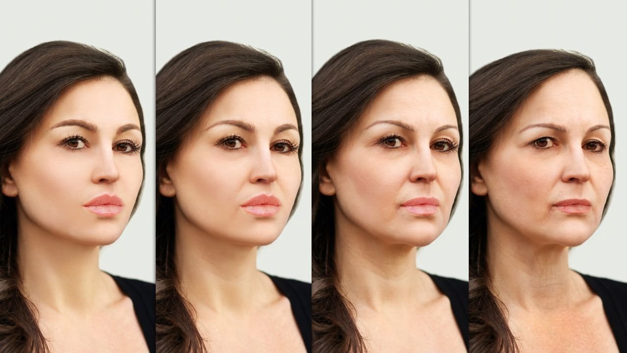 Human Faces Across Aging