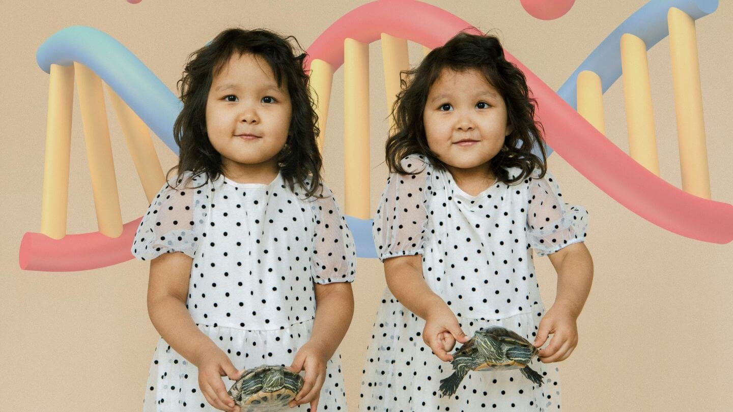 Can Identical Twins Have The Same DNA?