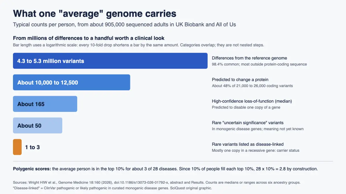 Log-scale bar chart of typical per-person counts: 4.3 to 5.3 million genome variants, about 10,000 to 12,500 protein-changing, about 165 high-confidence loss-of-function, about 50 rare uncertain and 1 to 3 rare disease-linked variants