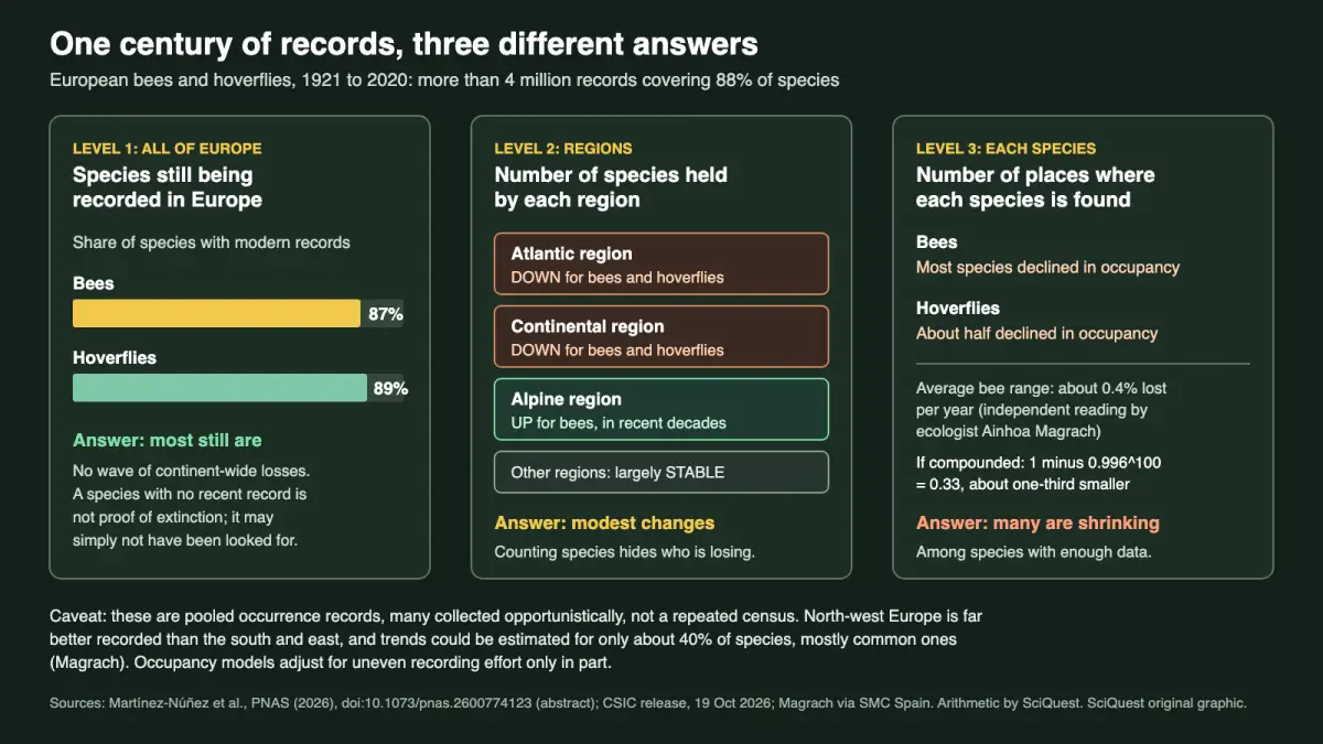 Three-panel graphic: 87% of European bee and 89% of hoverfly species still recorded; regional species counts fell in Atlantic and Continental regions; most bee species and about half of hoverfly species declined in occupancy