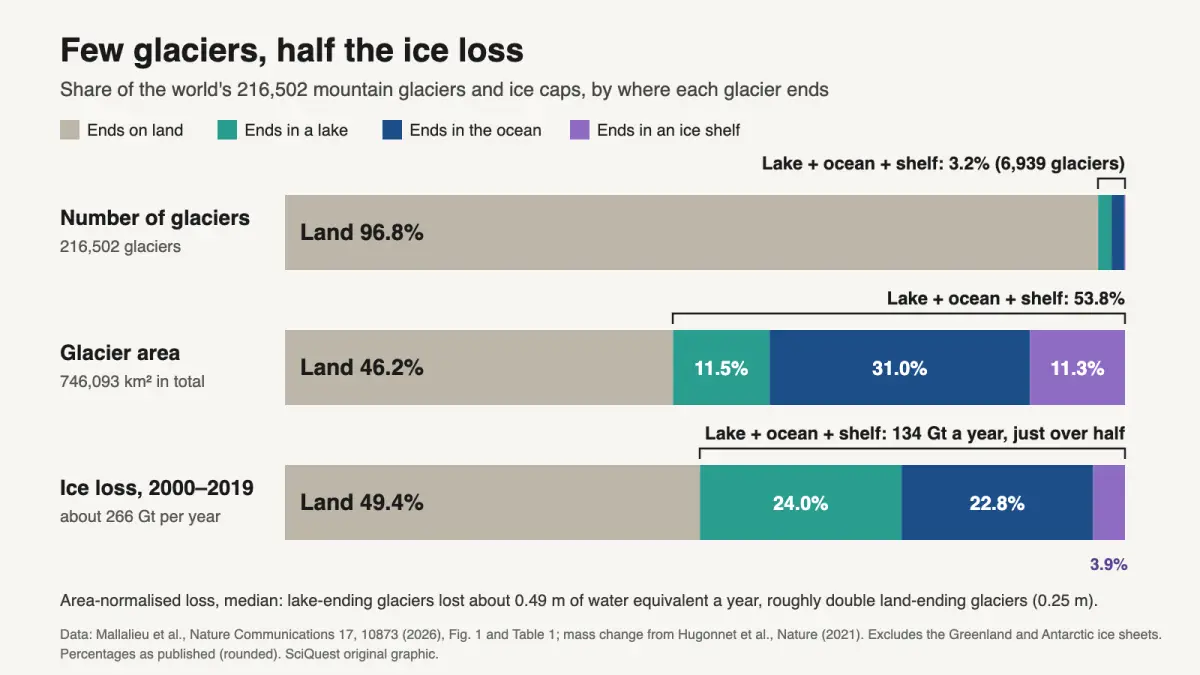 Stacked bar chart: glaciers ending in lakes, oceans or ice shelves are 3.2% of glaciers but cover 53.8% of glacier area and produced just over half of glacier ice loss in 2000 to 2019