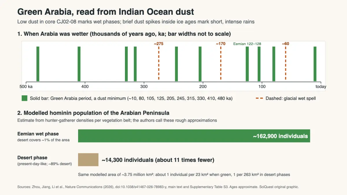 Timeline of ten Green Arabia wet periods and three glacial wet spells over 500,000 years from Indian Ocean dust, with a modelled hominin population of about 162,900 in the Eemian wet phase versus 14,300 in desert conditions