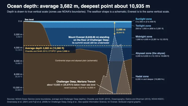 Diagram of ocean depth zones to vertical scale, with the average depth at 3,682 m and Mount Everest set on the 10,935 m floor of the Challenger Deep, summit 2,086 m underwater