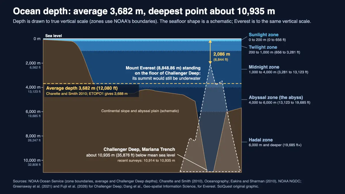 Diagram of ocean depth zones to vertical scale, with the average depth at 3,682 m and Mount Everest set on the 10,935 m floor of the Challenger Deep, summit 2,086 m underwater