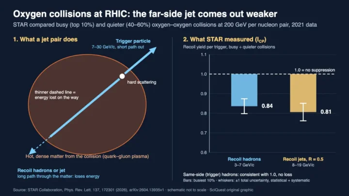 Diagram of an oxygen–oxygen collision where the far-side jet loses energy crossing quark–gluon plasma, with a chart of STAR's recoil yields at 0.84 for hadrons and 0.81 for jets versus 1.0 for no suppression