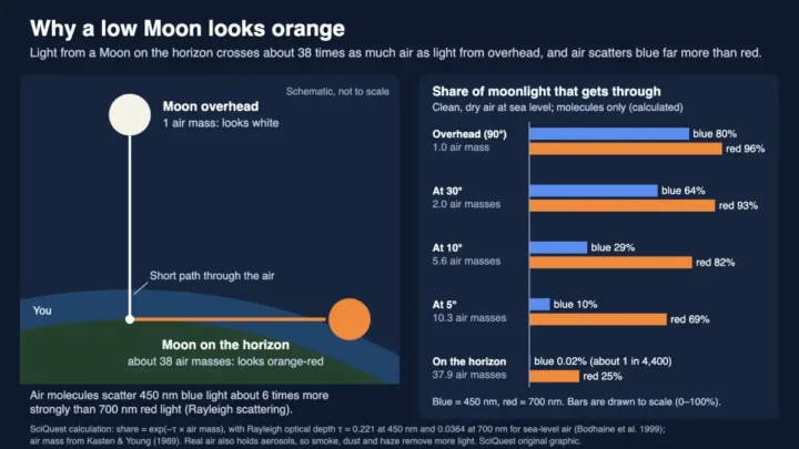 Diagram and bar chart showing moonlight from a Moon on the horizon crossing about 38 air masses versus 1 overhead, with only 0.02% of blue but 25% of red light getting through on the horizon