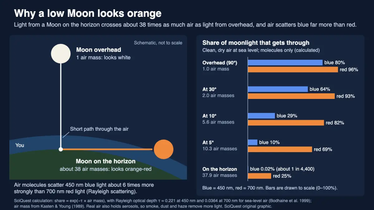 Diagram and bar chart showing moonlight from a Moon on the horizon crossing about 38 air masses versus 1 overhead, with only 0.02% of blue but 25% of red light getting through on the horizon